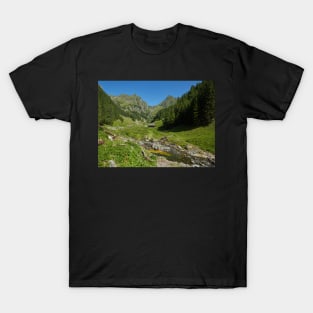 Wooden house in a mountain landscape T-Shirt